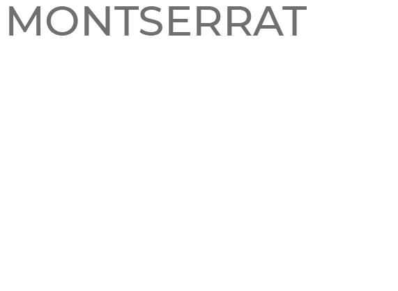 Logo Fabrice Tupin typo charte graphique