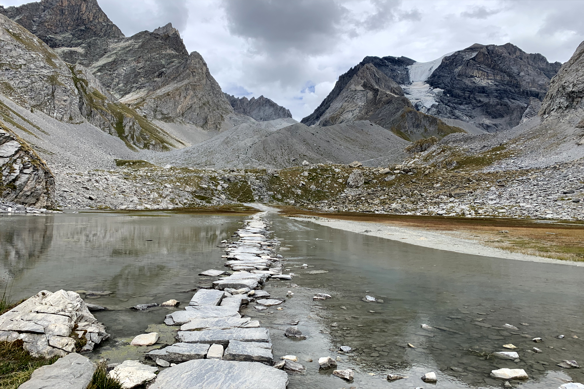 photo ambiance vignes sous soleil couchant
