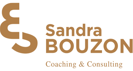 Logo Sandra Bouzon axe de réfléxion 3